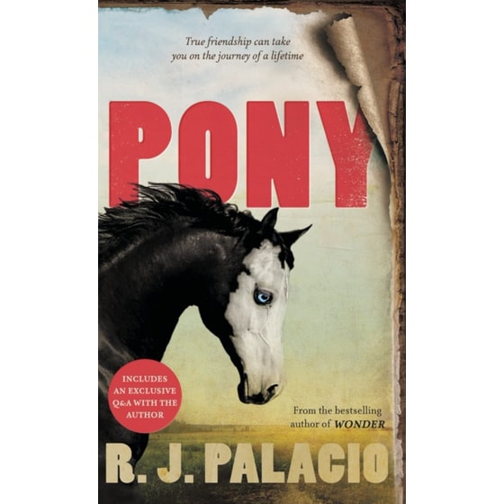 Pony image 0