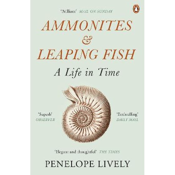 Ammonites and Leaping Fish image 0