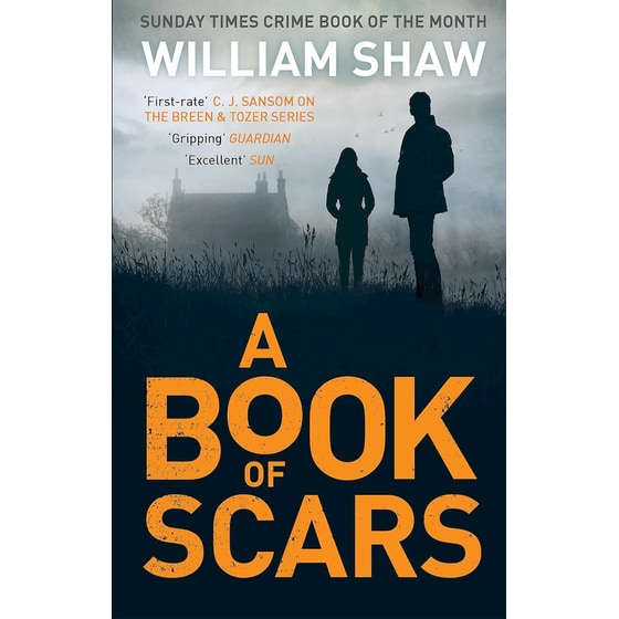 A Book of Scars image 0