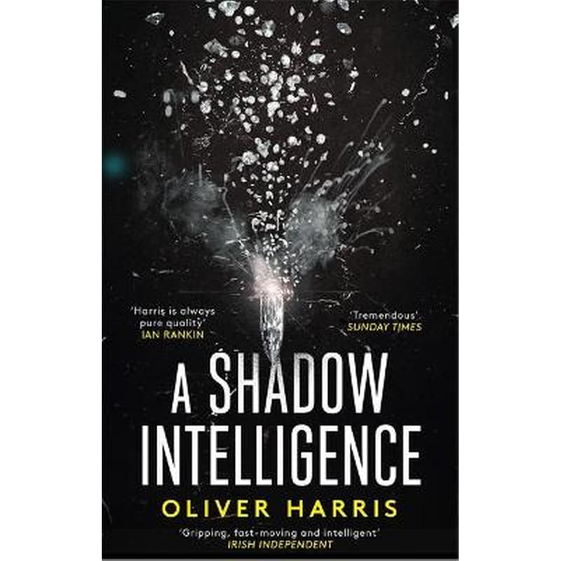 A Shadow Intelligence