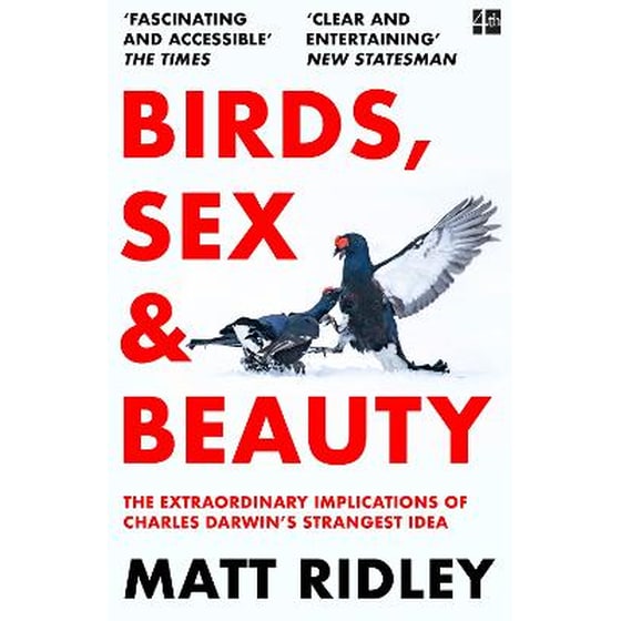 Birds, Sex and Beauty image 0