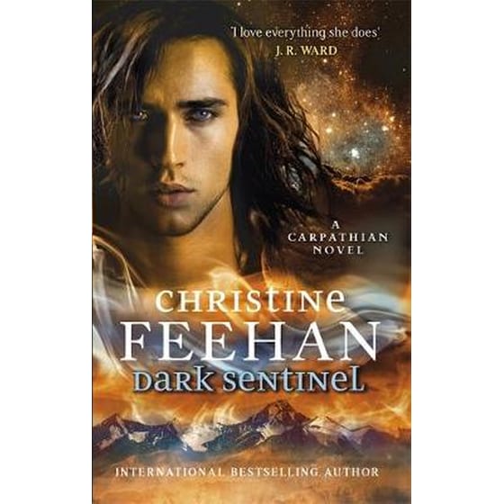 Dark Sentinel image 0