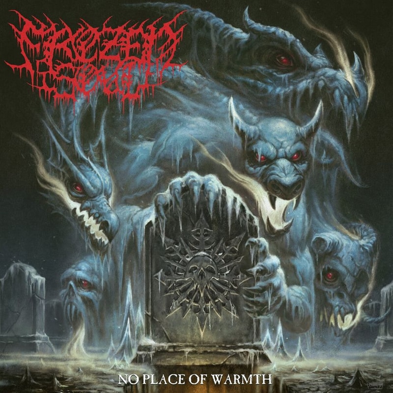 No Place Of Warmth (LP)