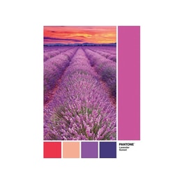 Παζλ&nbsp;Clementoni&nbsp;Pantone&nbsp;Vivid&nbsp;Viola&nbsp;(1000&nbsp;Κομμάτια)
