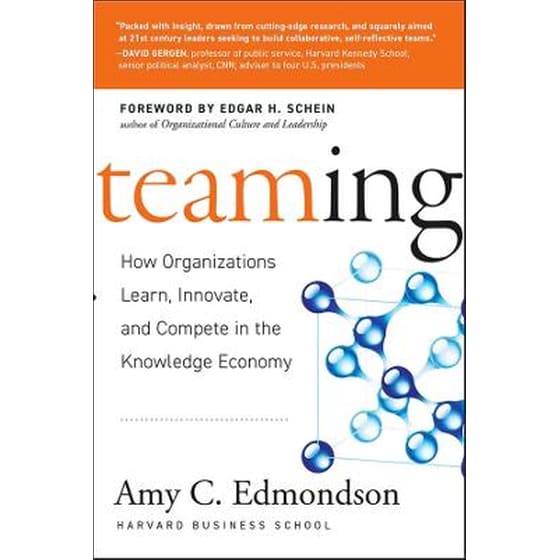 Teaming - How Organizations Learn, Innovate and Compete in the Knowledge Economy image 0