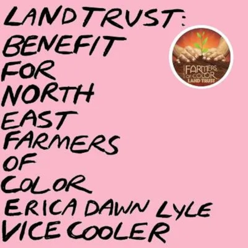 Land Trust: Benefit For Nefoc (Pink 2LP)