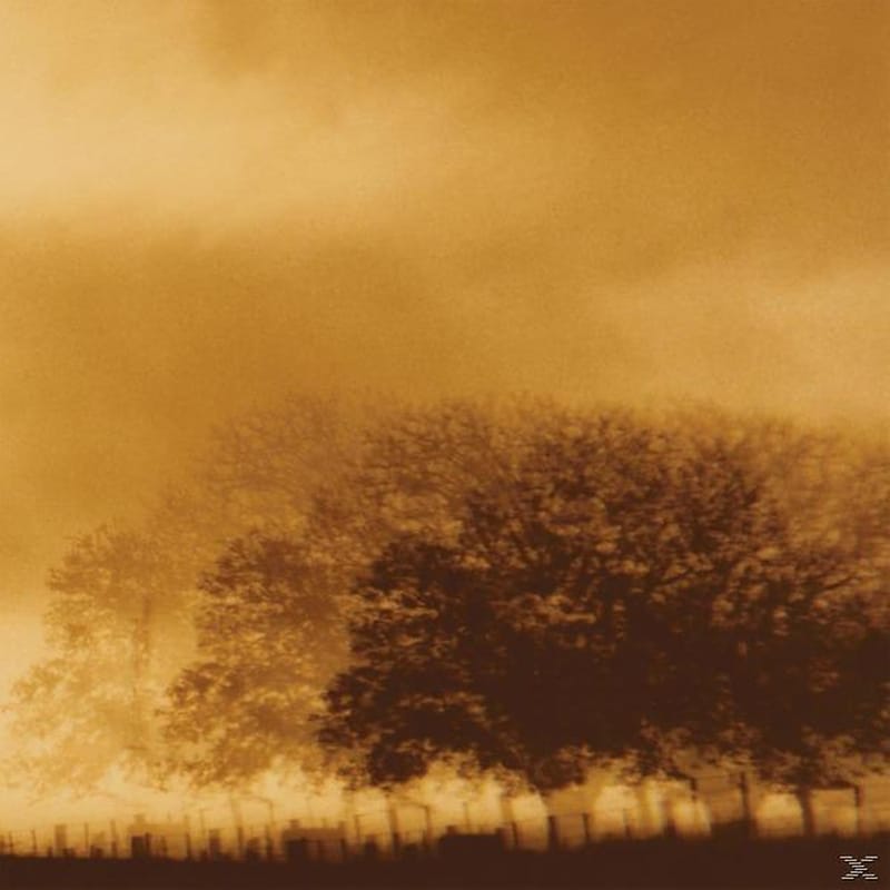 Infinite Light Limited