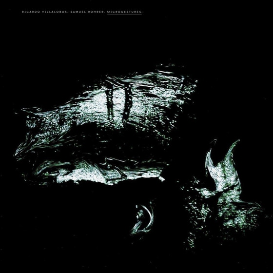 Microgestures (Lp) image 0