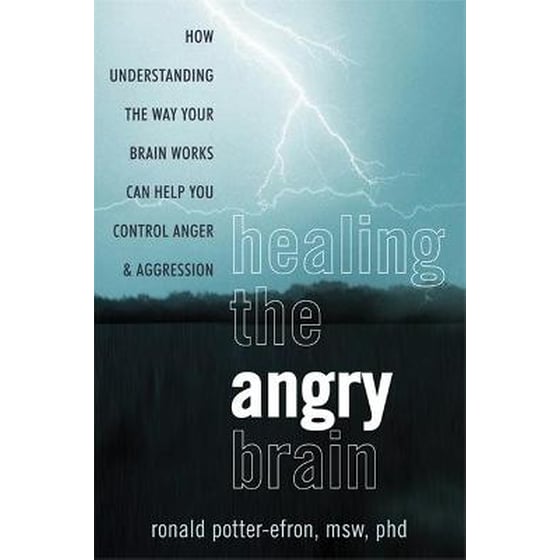 Healing the Angry Brain image 0