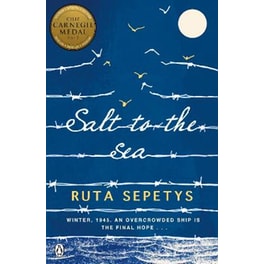 Salt to the Sea