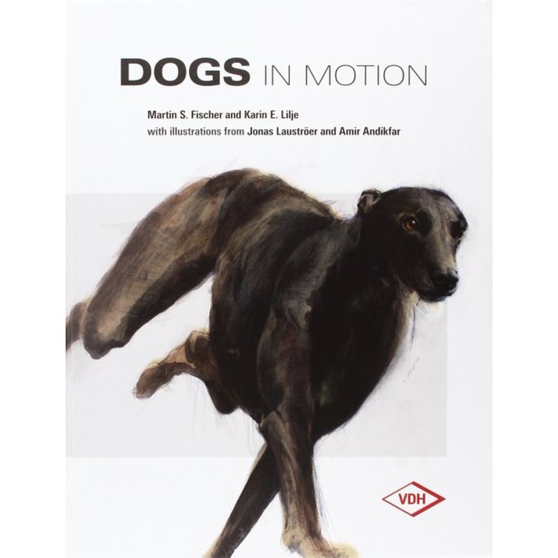 Dogs in Motion