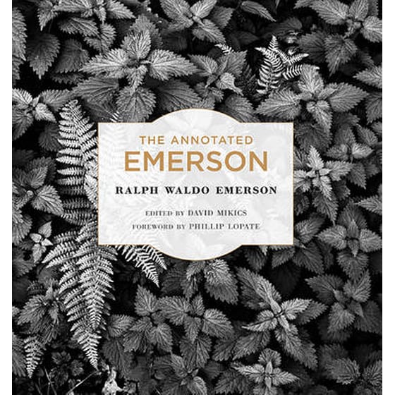 Annotated Emerson image 0
