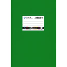 Τετράδιο Καρφίτσα SALKO B5 Ex-color Πράσινο 50 Φύλλων (1 Τεμάχιο)