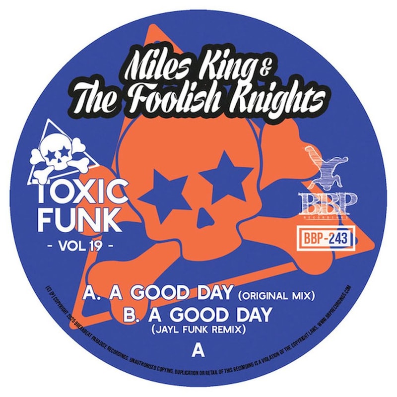 Toxic Funk Vol. 19 (LP 7)