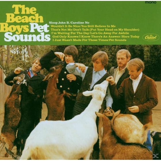 Pet Sounds image 0
