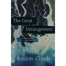 The Great Derangement