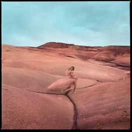 Strays (LimitedShrimp Pink Vinyl)