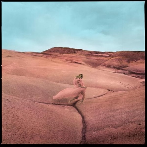Strays (LimitedShrimp Pink Vinyl) image 0