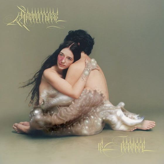 Metamorphosis (Boxset 2LP) image 0