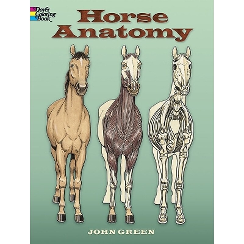 Horse Anatomy Coloring Book