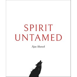Spirit Untamed