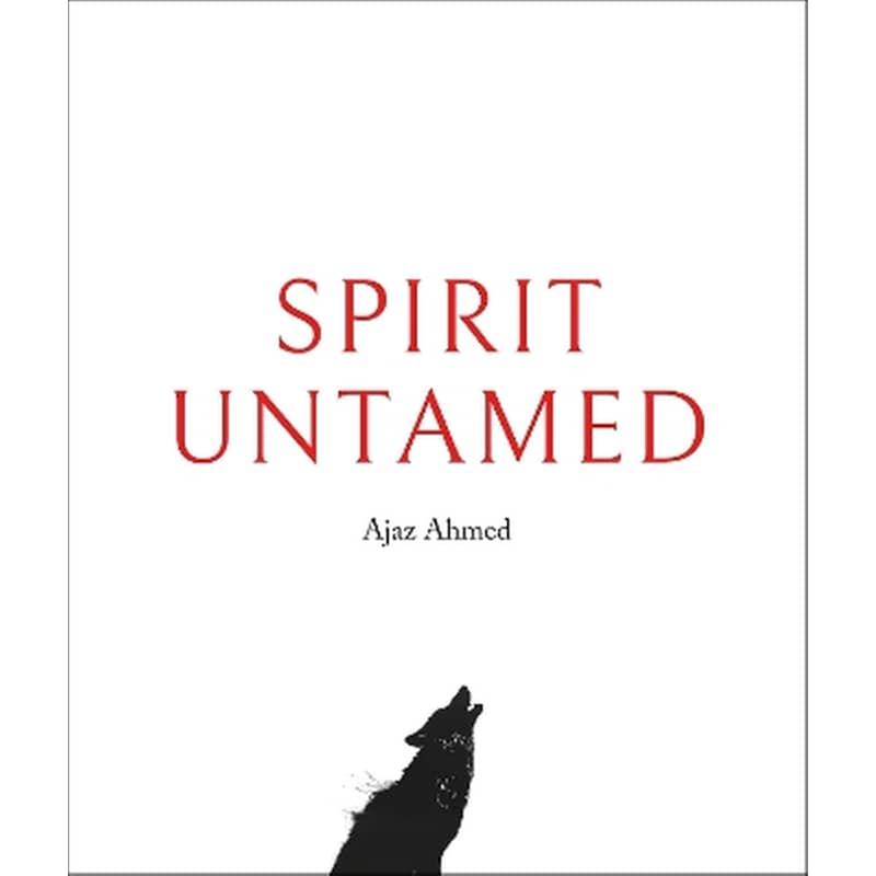 Spirit Untamed