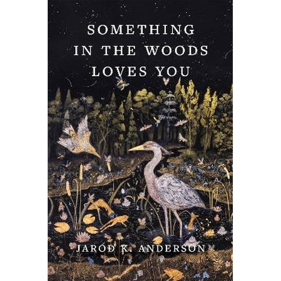 Something in the Woods Loves You image 0