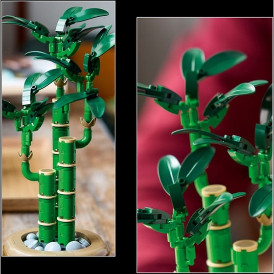 LEGO® Botanicals Lucky Bamboo (10344) image 6