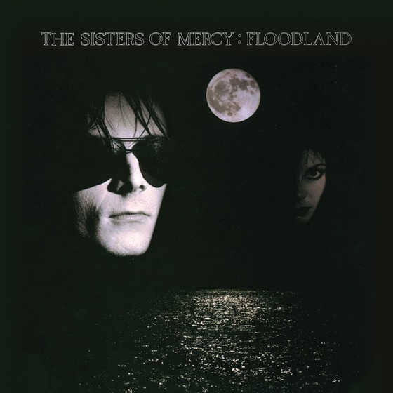 Floodland image 0