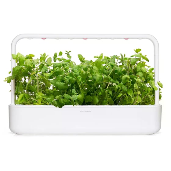 Κάψουλες Click and Grow 3 Τμχ - Μέντα Μήλου image 2