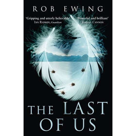 The Last of Us image 0