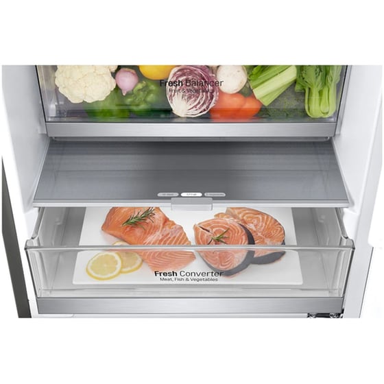 LG GBF72PZDMN Total No Frost 383 Lt Platinum Silver Ψυγειοκαταψύκτης image 4