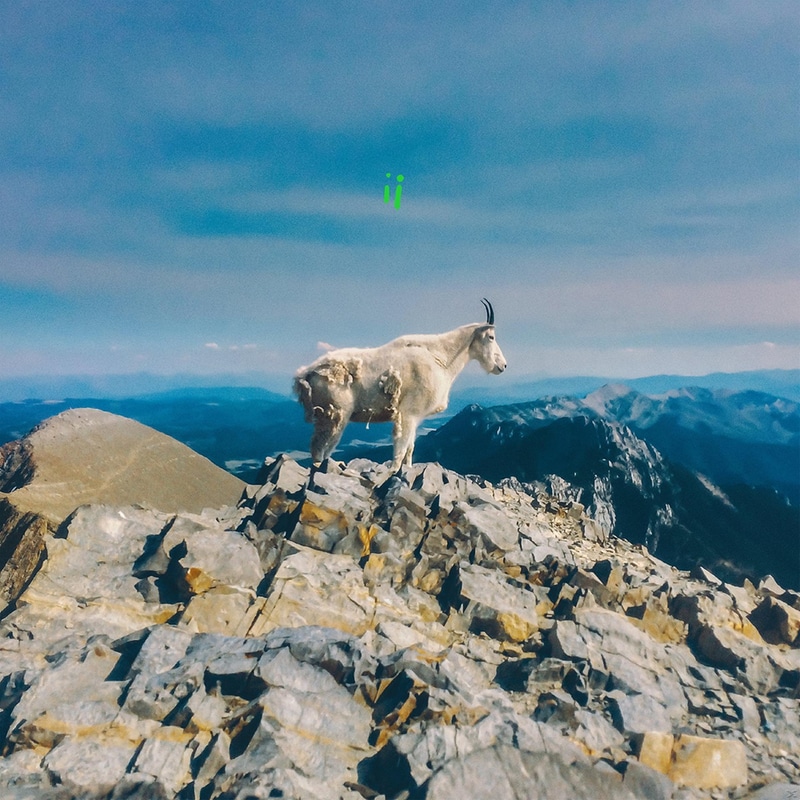 Ii (Neon Green Vinyl)