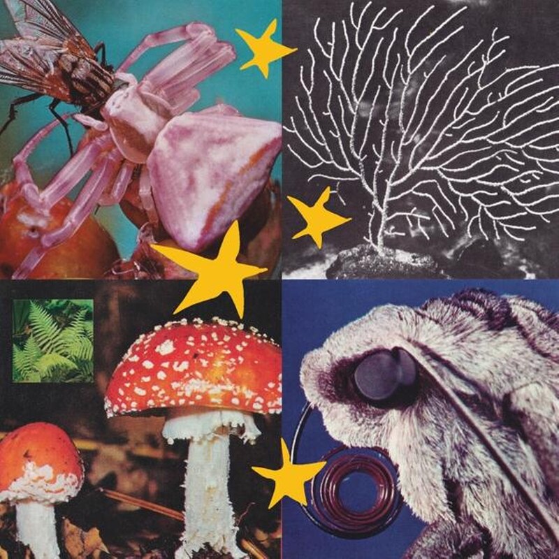 ALL THINGS CONSIDERED VOL.2 (LP)