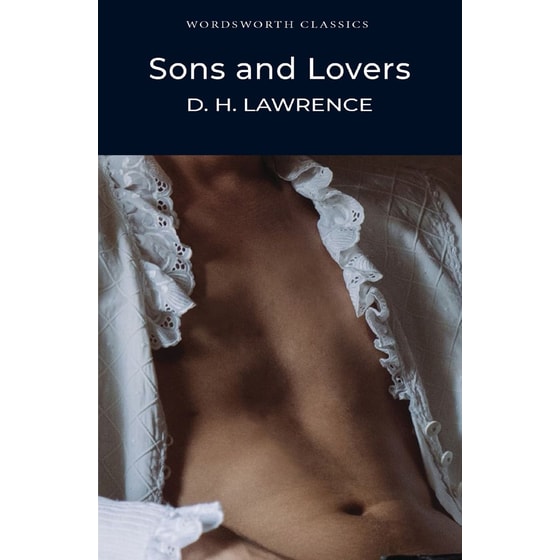 Sons and Lovers image 0