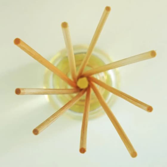 Diffuser Ambientair The Olphactory Goji Black Tea 100ml - Wandering image 6