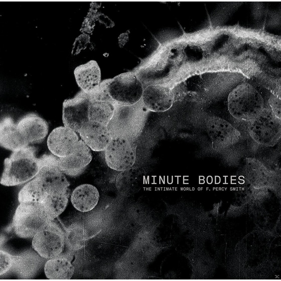 Minute Bodies (Vinyl+Dvd), LimitedDeluxe Edt. image 0