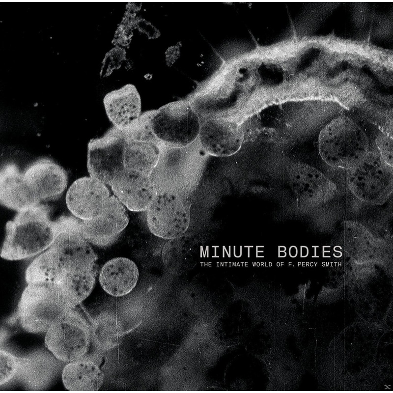 Minute Bodies (Vinyl+Dvd), LimitedDeluxe Edt.