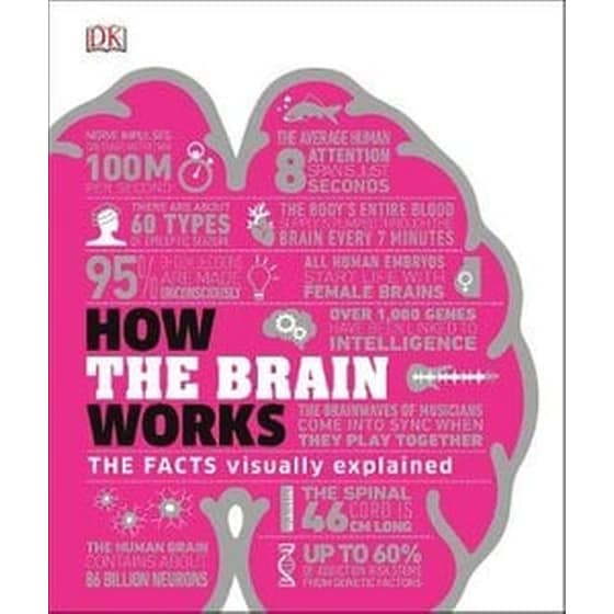 How the Brain Works image 0