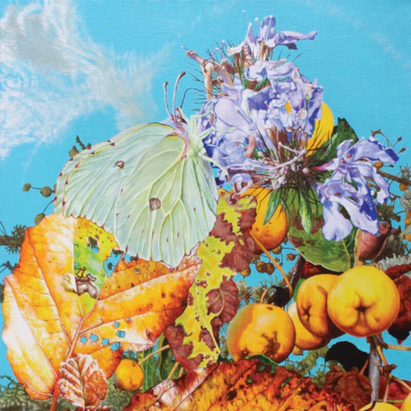 I Saw A Star Behind Your Eyes, Dont Let It Die Away