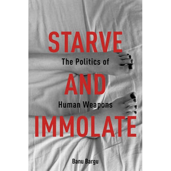 Starve and Immolate image 0