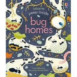 Peep Inside Bug Homes