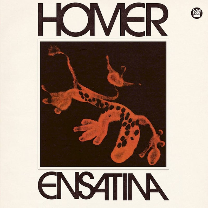 Ensatina (LP)