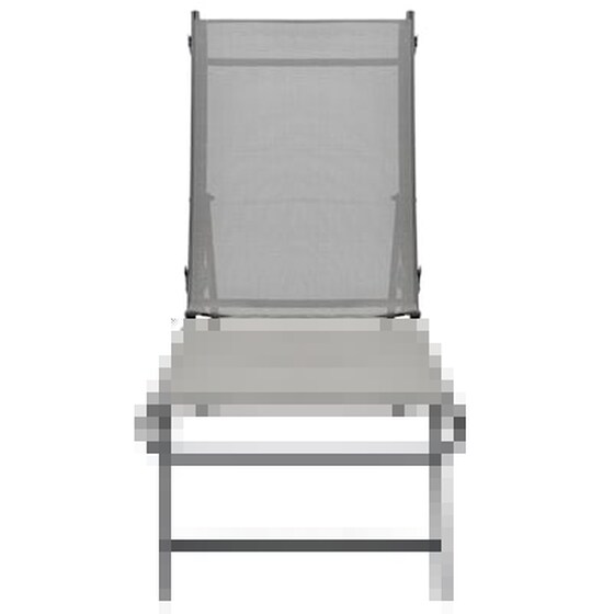 Σετ Ξαπλώστρα Παραλίας VidaXL 2 τμχ από Textilene & Ατσάλι 180,5x53x32,5 cm - Γκρι image 5