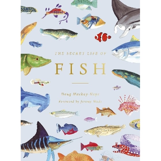 The Secret Life of Fish image 0