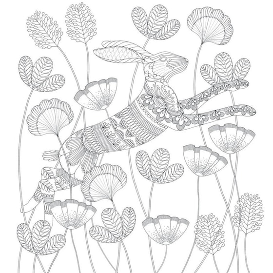 Millie Marotta's Animal Kingdom image 3