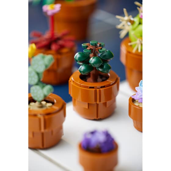 LEGO® Icons Tiny Plants (10329) image 21