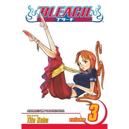 Bleach, Vol. 3