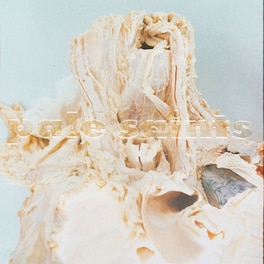 In Ribbons (LP)