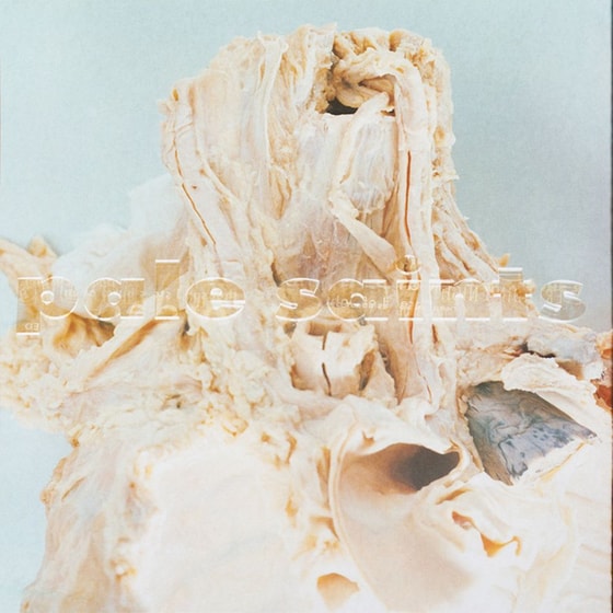 In Ribbons (LP) image 0